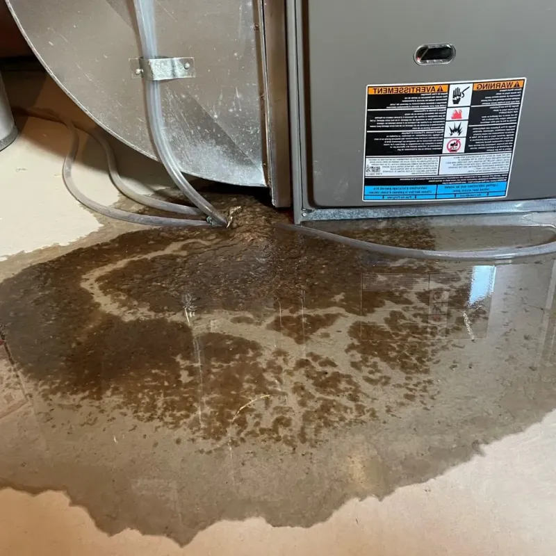 Pipe Burst and Leak Restoration in Bear Creek, AK