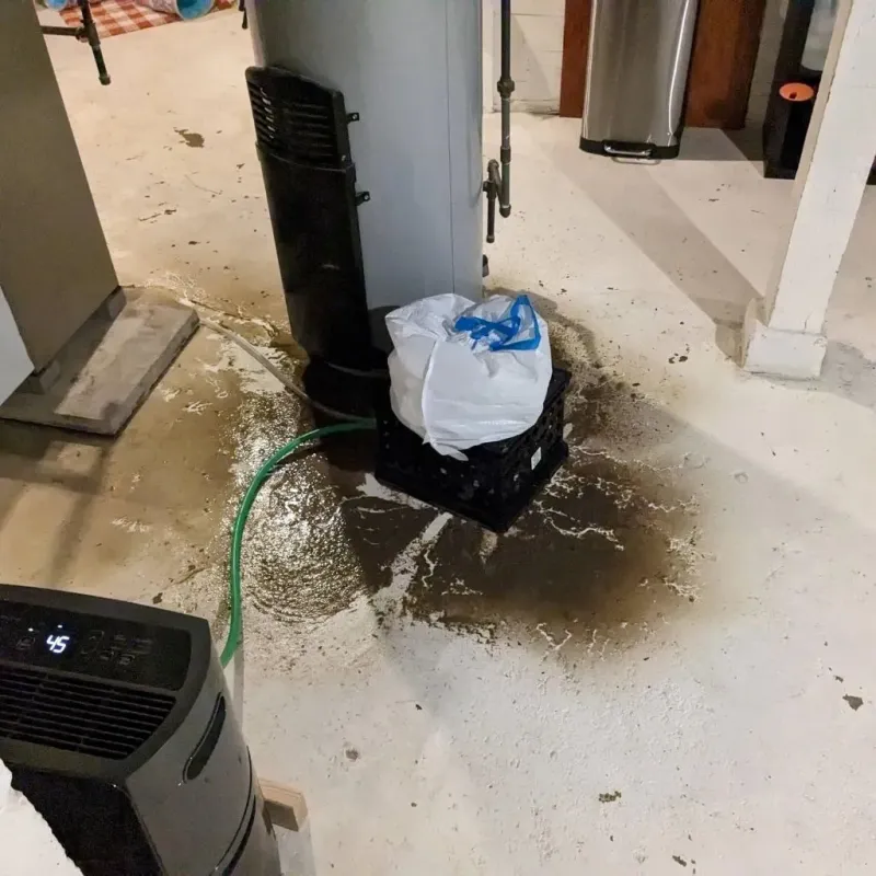 Sewage Backup Cleanup Service in Bear Creek, AK